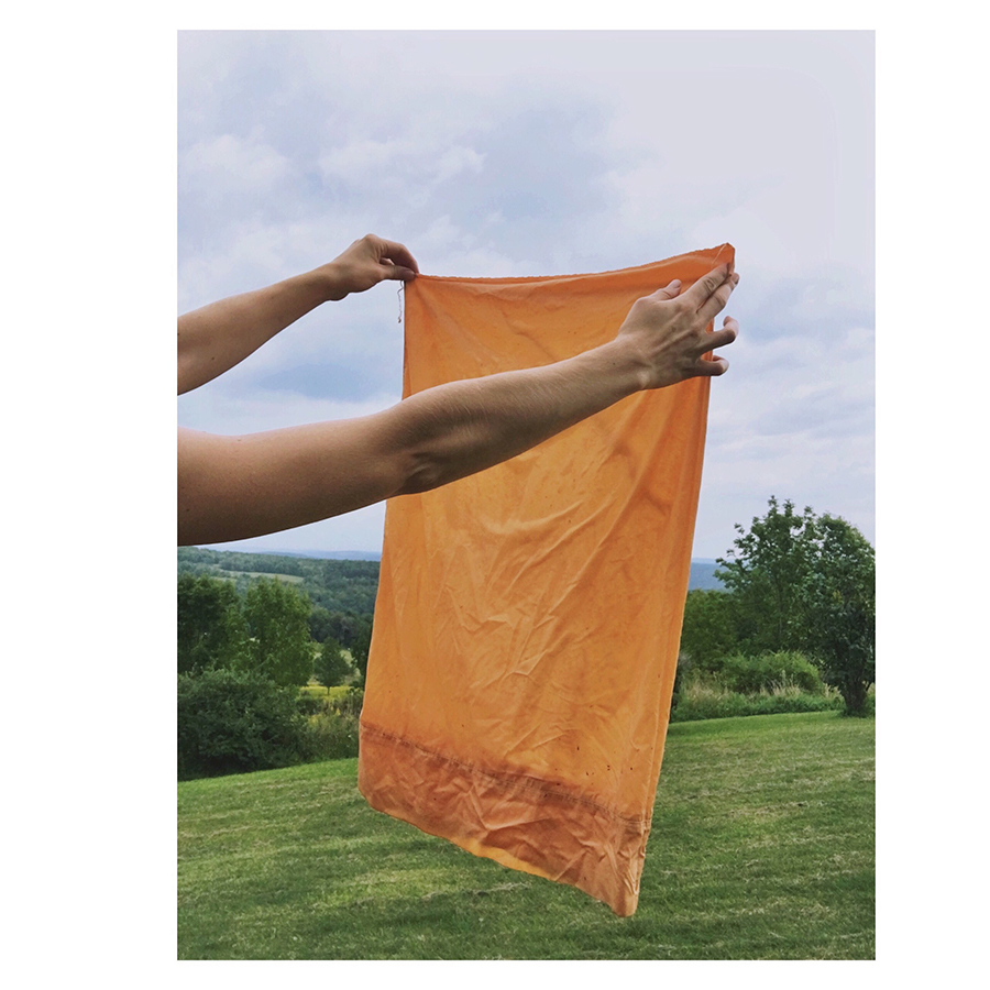 5CoreopsisDyePillowCase