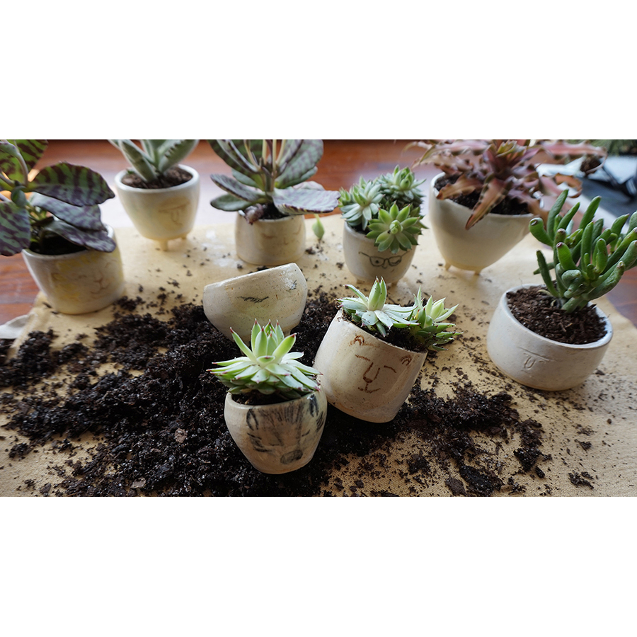 9SeedlingSucculentPots