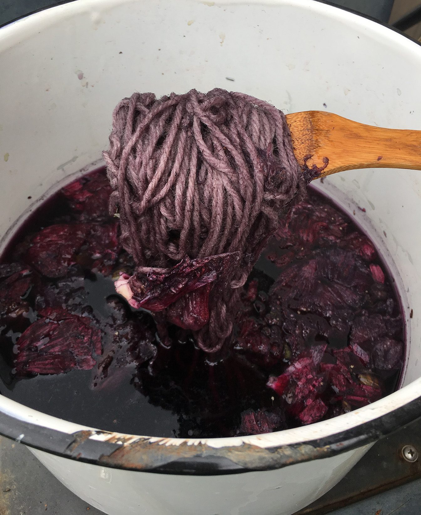 Hibiscus dye pot with wool yarn. Ph shifted by mordant.
