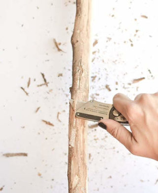 Handle Wood Whittling